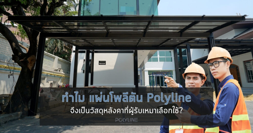 แผ่นโพลีตัน polyline