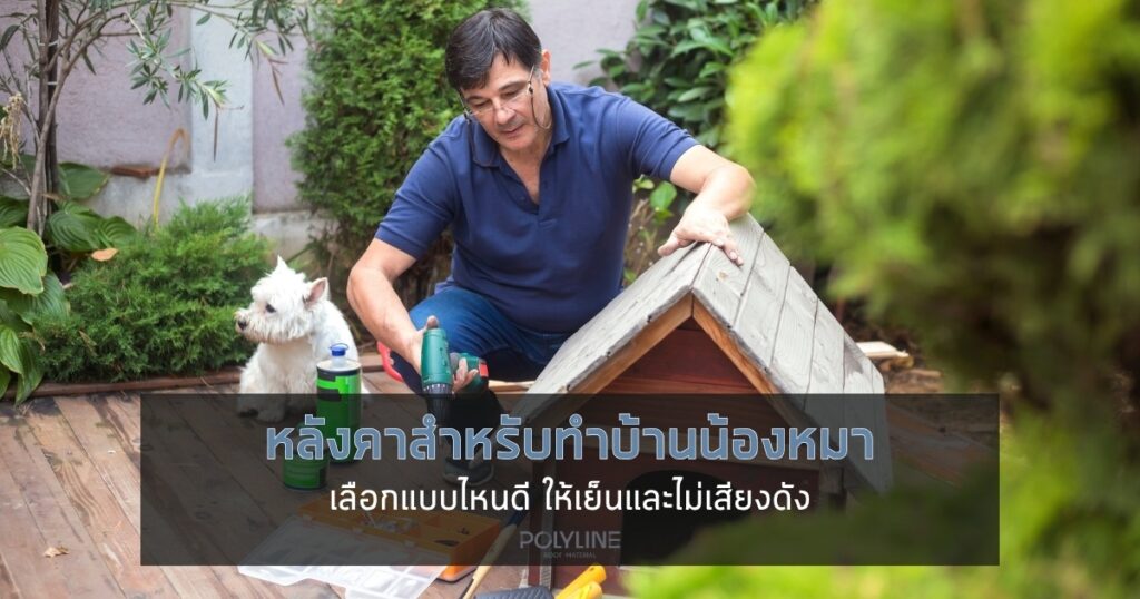 หลังคาบ้านน้องหมา