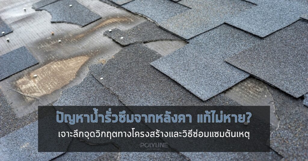 ปัญหาน้ำรั่วซึมจากหลังคา