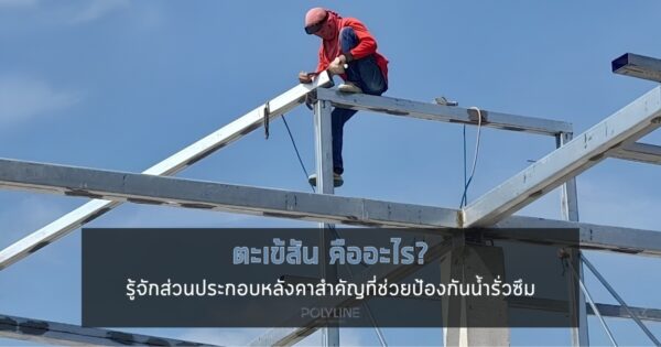 ตะเข้สัน