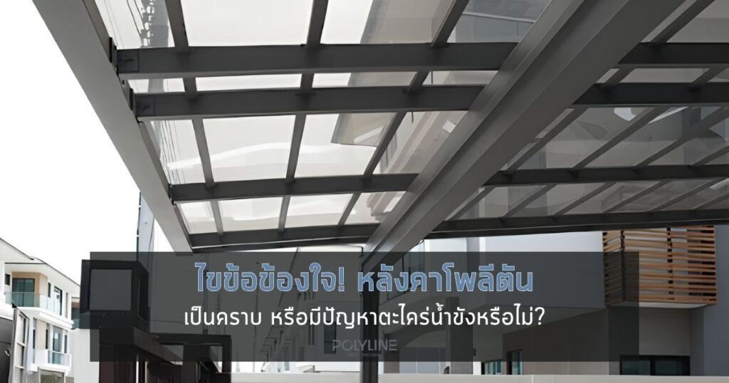 หลังคาโพลีตัน เป็นคราบ หรือตะไคร่น้ำขังไหม? สรุปให้ก่อนซื้อ