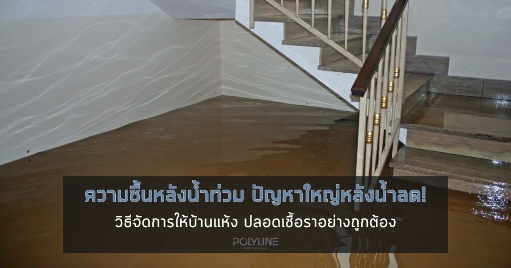 ความชื้นหลังน้ำท่วม ปัญหาใหญ่หลังน้ำลด! วิธีจัดการให้บ้านแห้ง ปลอดเชื้อราอย่างถูกต้อง